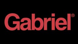 Imagen Marca del vehiculo gabriel